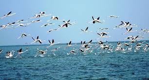 ODISHA ACT TO PROTECT CHILIKA LAKE