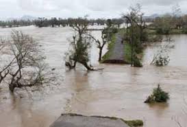 Odisha Govt. Puts Flood Losses & Damages at Rs 219 Cr