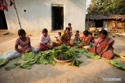 Odisha to promote Forest Product Clusters of Sal Seed, Tamarind,Mahua, Mango, Cashew