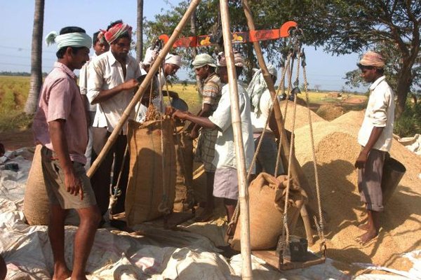 Odisha targets to procure 71 lakh tonnes of paddy in 2020-21 season
