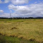 Odisha detects lakhs of uncrupulous farmers, sends notices