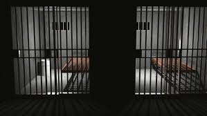 Murder of Odisha lady sub-judge: paramour  and his brother get life imprisonment