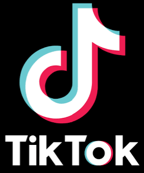 Tik Tok obscenity, Odisha high court expresses concern