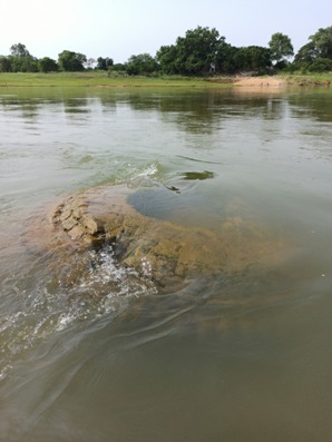 INTACH discovers 60 ft high temple submerged under Mahanadi water