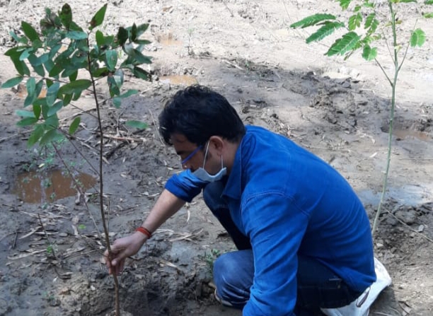 Tata Steel BSL plants 10,000 saplings in UP