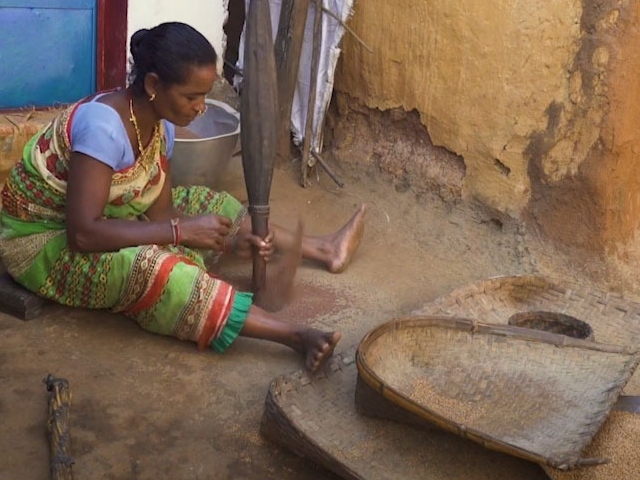 Virtual Tour to State Tribal Museum: Indigenous Methods of Food Preservation by ‘Paraja’ Community