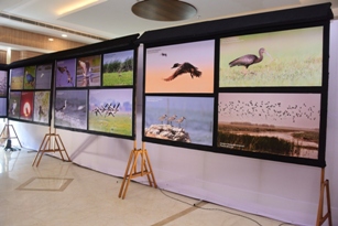 National Chilika Bird Festival takes flight