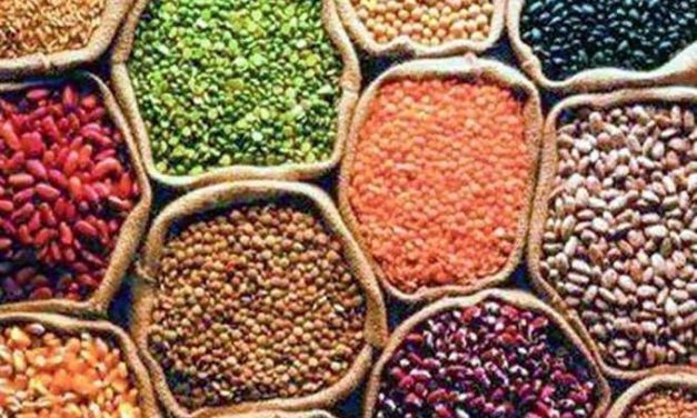 Prices of pulses & oil seeds moderate with government interventions