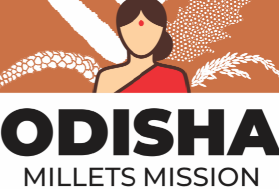 Odisha Millets Mission proving millets a better alternative